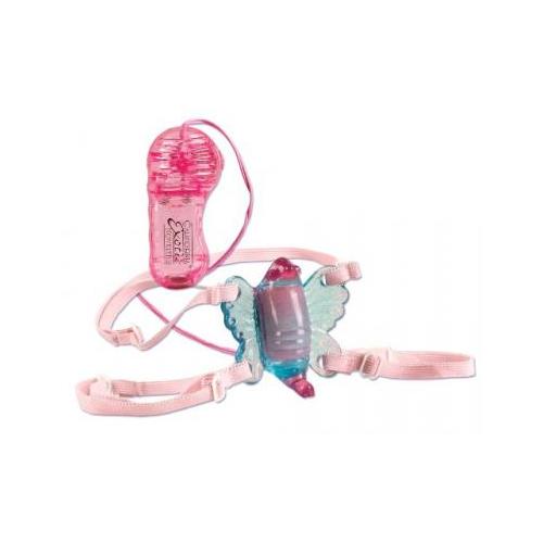 Shane's World Venus Butterfly